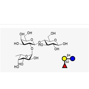 Blood type trisaccharide H Type VI (2'FL)