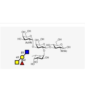 Blood type tetrasaccharide A Type I