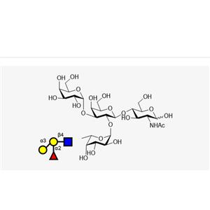 Blood type tetrasaccharide B Type II