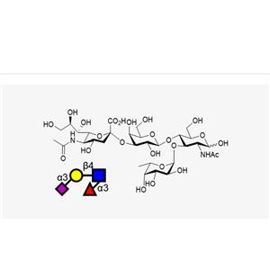 Sialyl Lewis X (sLeX)
