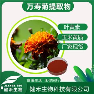 健禾生物 萬壽菊提取物  廠家直銷