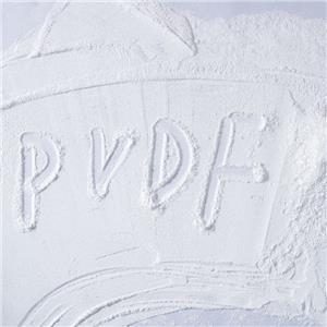 PVDF細(xì)粉 優(yōu)級 具有良好的耐氧化性 耐磨 抗沖擊性