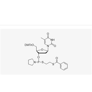 DMT-2'-dT-3'-PS