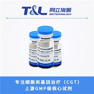 ActSep?CD3/CD28分選激活磁珠