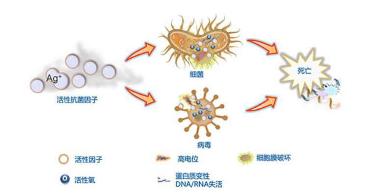 Ag+ 抗菌原理-.jpg