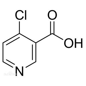 4-氯煙酸