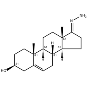 雄酮腙