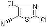 CAS 登錄號：82554-18-5, 2,4-二氯-5-噻唑甲腈