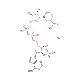 煙酰胺腺嘌呤二核苷酸磷酸（還原型）NADPH  2646-71-1