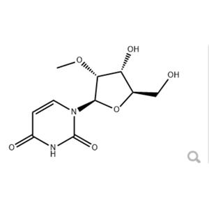 2'-甲氧基尿苷