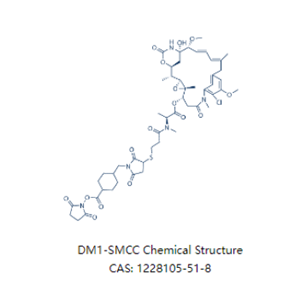 SMCC-DM1