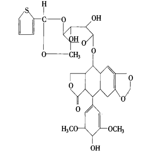 替尼泊苷 4'-去甲基表鬼臼毒素-Β-D-葡萄糖甙