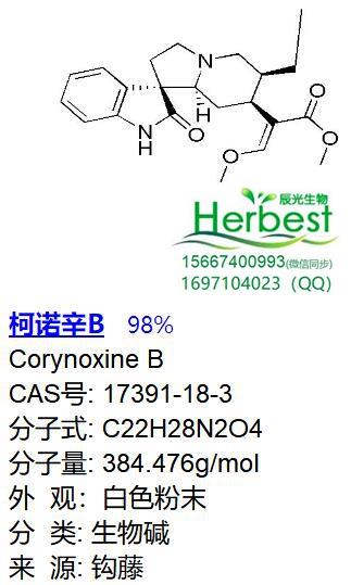 柯諾辛B_副本.jpg