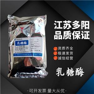 乳糖酶，生產(chǎn)廠家，99%高含量，食品級(jí)，酶制劑