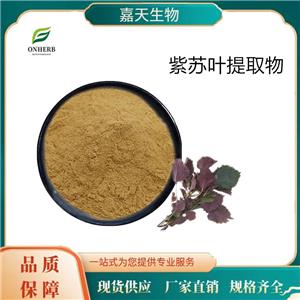 供應(yīng)紫蘇葉提取物 紫蘇粉 多種規(guī)格  食品級 原料