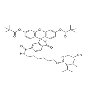 6-Fam-Amidite；5'-Fluorescein CE Phosphoramidite