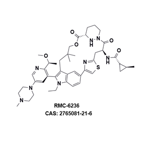 RMC-6236，一種針對(duì)泛KRAS突變抑制劑 