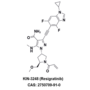 KIN-3248，一種針對(duì)泛FGFR突變的第二代抑制劑