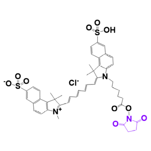 CY7-SE Cy7-N-羥基琥珀酰胺酯