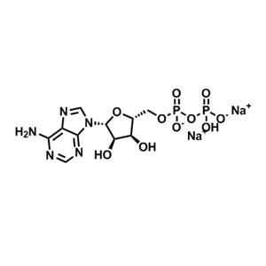 腺苷-5'-二磷酸二鈉鹽   16178-48-6