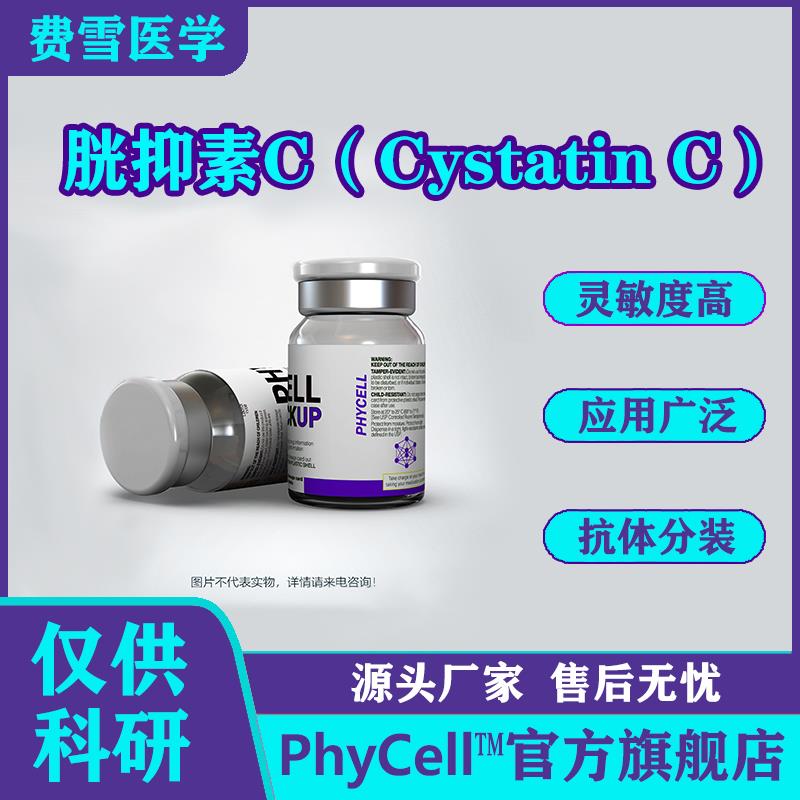 胱抑素C（Cystatin C，CysC）.jpg