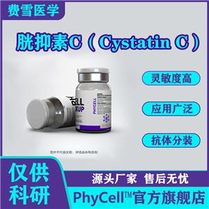 胱抑素C(Cystatin C，Cys C)