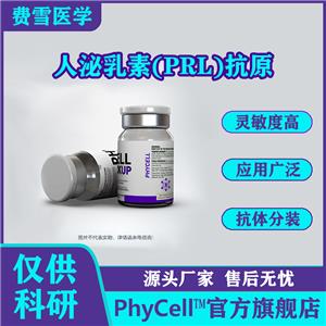 人泌乳素(PRL)抗原