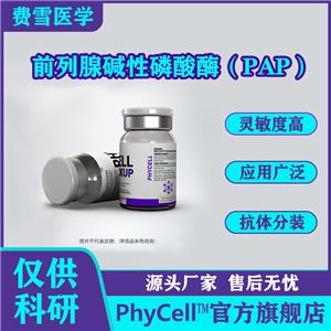 供應(yīng)前列腺堿性磷酸酶（PAP），前列腺酸性磷酸酶（PACP）