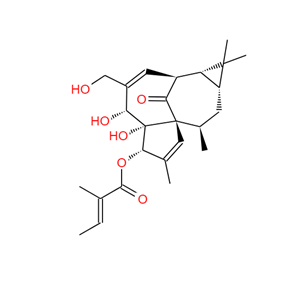 巨大戟醇-3-O-當歸酸酯 75567-37-2