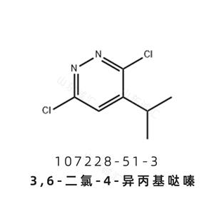 3,6-二氯-4-異丙基噠嗪107228-51-3瑞司美替羅中間體