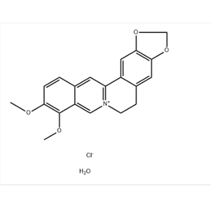 鹽酸小檗堿