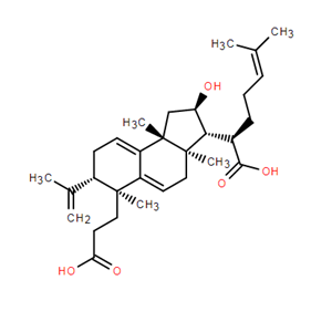 茯苓酸B  137551-39-4