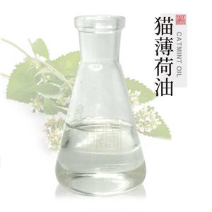 貓薄荷油 植物提取單方精油