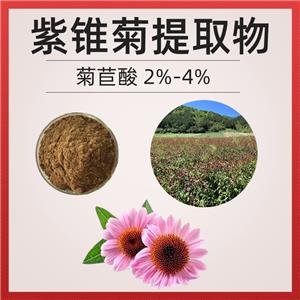 紫錐菊提取物 紫錐菊多酚4% 西安萃源生物供應(yīng)