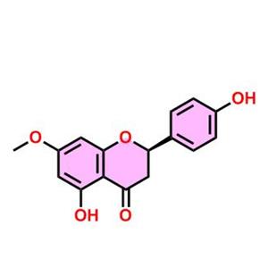 櫻花素;櫻花亭