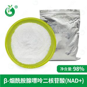 β-煙酰胺腺嘌呤二核苷酸 NAD+  輔酶NAD