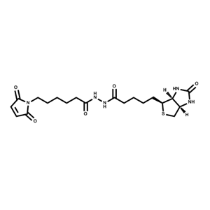 生物素-馬來酰亞胺；116919-18-7