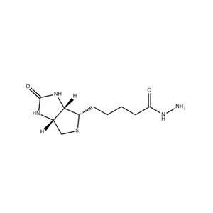 生物素酰肼