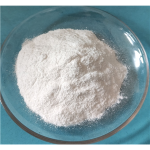 環(huán)孢霉素A-D4  Cyclosporin A-d4