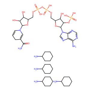 aladdin 阿拉丁 N302057 還原型β-煙酰胺腺嘌呤二核苷酸磷酸四環(huán)己銨鹽mine) 100929-71-3 ≥96%