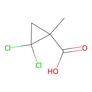 aladdin 阿拉丁 D472255 2,2-二氯-1-甲基-環(huán)丙烷甲酸 1447-14-9 98%