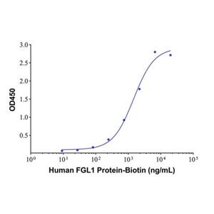 aladdin 阿拉丁 rp146027 Recombinant Human FGL1 Protein Animal Free, >95% (SDS-PAGE), Active, HEK293, C-Fc tag, 23-312 aa