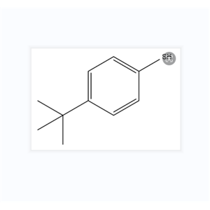 4-叔丁基苯硫酚