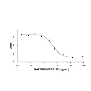 aladdin 阿拉丁 rp143136 Recombinant Human BAFFR/TNFRSF13C Protein Animal Free, >95%(SDS-PAGE), Active, E.coli, No tag, 1-76 aa