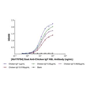 aladdin 阿拉丁 Ab170784 Goat Anti-Chicken IgY H&L Antibody Secondary Antibody; Goat Anti-Chicken IgY H&L Antibody; WB, ELISA, CLIA, LF, GICA; Unconjugated