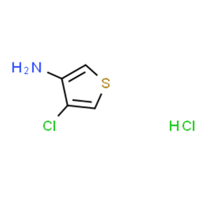 4-氯噻吩-3-胺鹽酸鹽