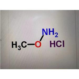 甲氧胺鹽酸鹽