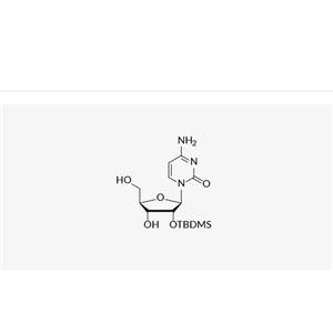 2'-O-TBDMS Nucleosides