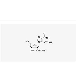 2'-O-TBDMS-guanosine