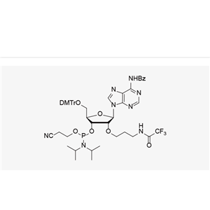 2'-O-Trifluoroacetamindo propyl-A(Bz)-3'-CE-Phosphoramidite